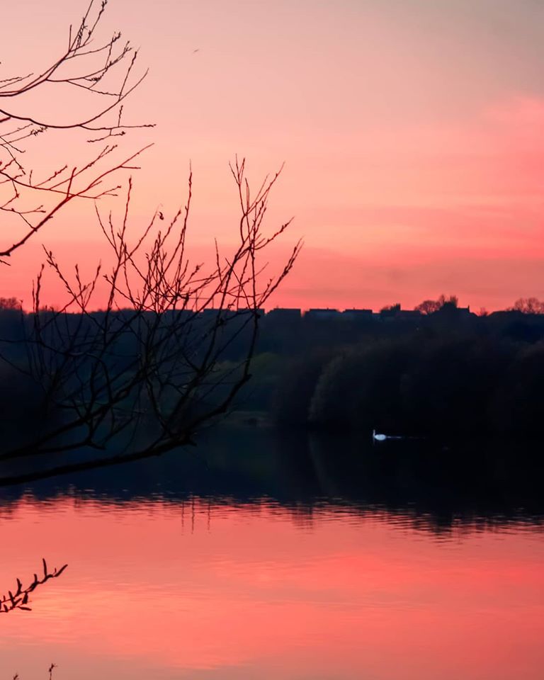 sunset and a duck byv Rezaul H Reza